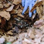 There’s a surprising climate solution right under your feet