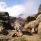 Researchers fear Chile copper project may threaten rare Andean cat population