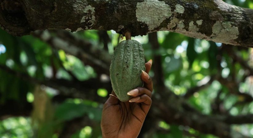 Green by tradition: Africa’s path to lower carbon footprint