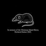 In memory of the Christmas Island shrew