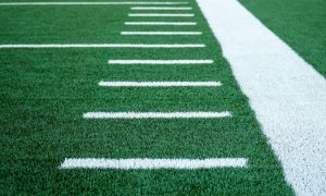 Webinar: Plastics in the built environment: considerations related to artificial turf