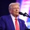 Trump claims ‘wind mills’ kill whales but quietly torpedoes the science