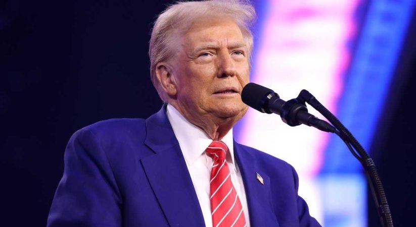Trump claims ‘wind mills’ kill whales but quietly torpedoes the science