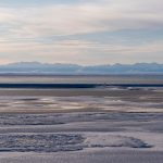 Trump administration finalizes plan to open pristine Alaska wildlife refuge to oil and gas drilling
