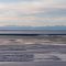 Trump administration finalizes plan to open pristine Alaska wildlife refuge to oil and gas drilling