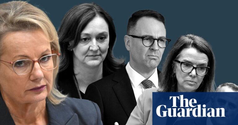 Conservative lobby group launches email campaign to derail liberal party’s net zero climate commitments