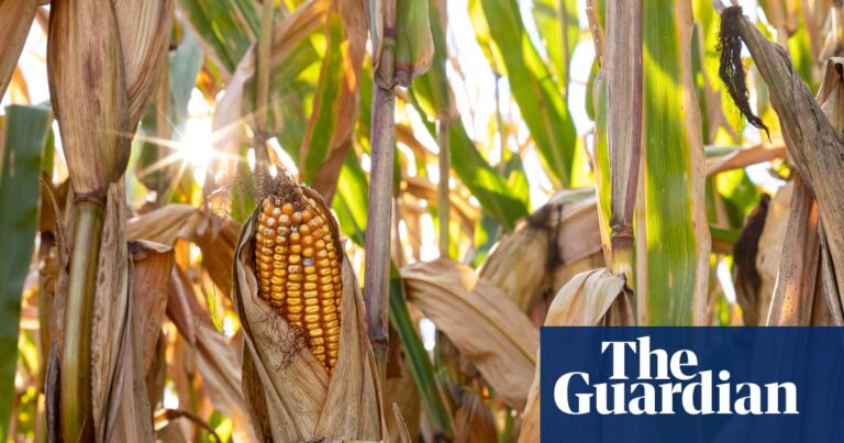 Trump epa moves to approve fifth pfas “forever chemical” for agricultural use despite health concerns