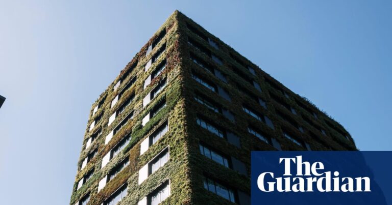 Trump environmental policies dampen global green building market as climate action urgency grows