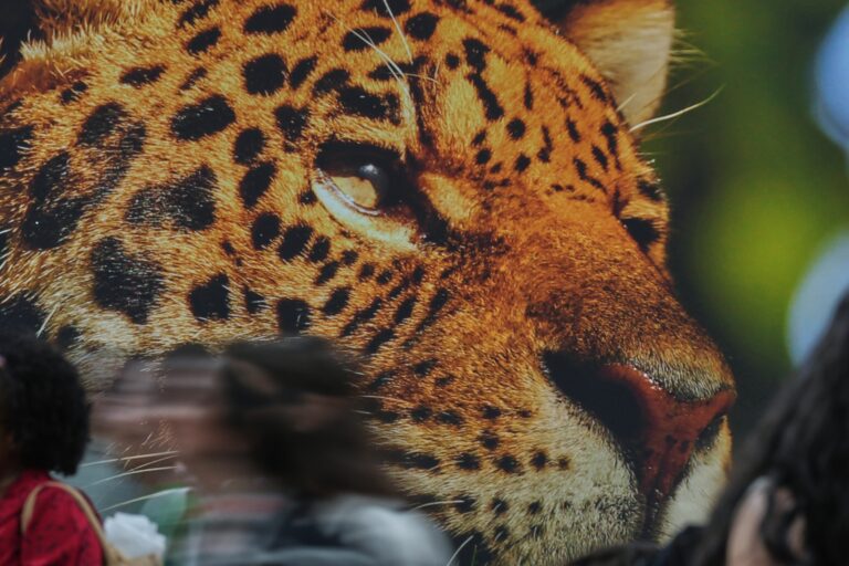 Young environmental journalists share hope and uncertainty in “letters to the future” series