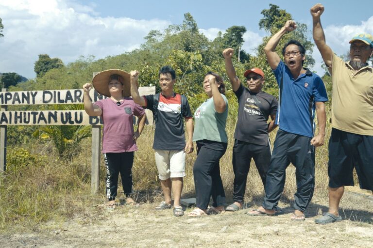Indigenous communities win temporary halt to palm oil deforestation in malaysian borneo