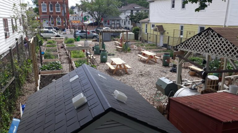 Urban farming revolution: how cities are growing their way to climate solutions