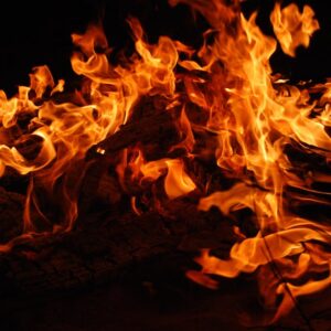 Australia’s biodiversity offset system under fire as federal government plans national expansion despite nsw failures