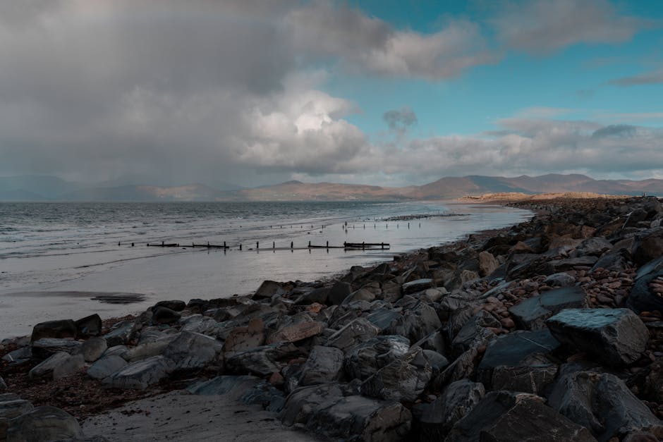 Europe’s climate leadership at risk as right-wing politics undermine green policies