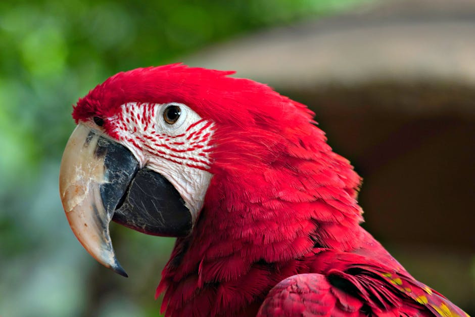 Brazil Approves Amazon Oil Drilling During Climate Summit, House Opens Alaska Wilderness to Drilling — Today’s Environmental Briefing for Fri, Nov 21 2025