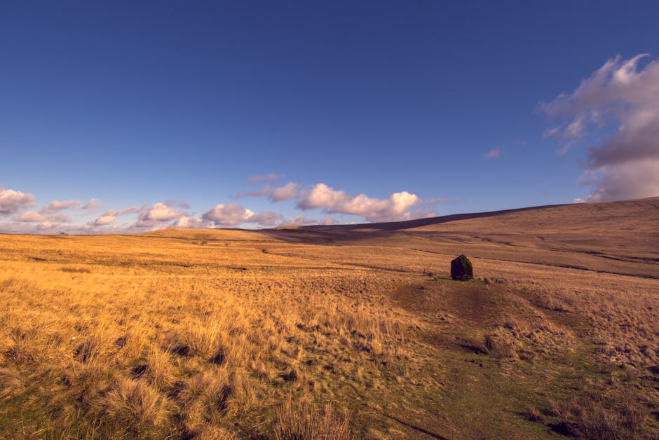 Thousands of Wales Species Face Extinction While COP30 Climate Summit Leaves Critical Issues Unresolved — Today’s Environmental Briefing for Tue, Nov 25 2025