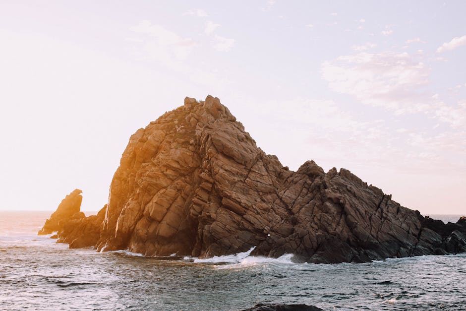 Australia’s climate politics: how fossil fuel interests continue to shape public opinion despite economic evidence