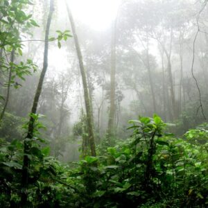 Aerial view of environmental destruction from Brazilian mining dam collapse showing muddy water and damaged landscape