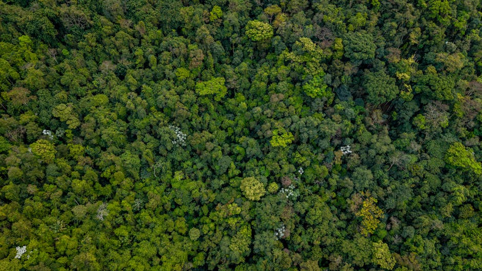 Google Revives Iowa Nuclear Plant in Tornado Alley, Chinese Megaport Threatens Amazon Rainforest — Today’s Environmental Briefing for Sun, Dec 7 2025