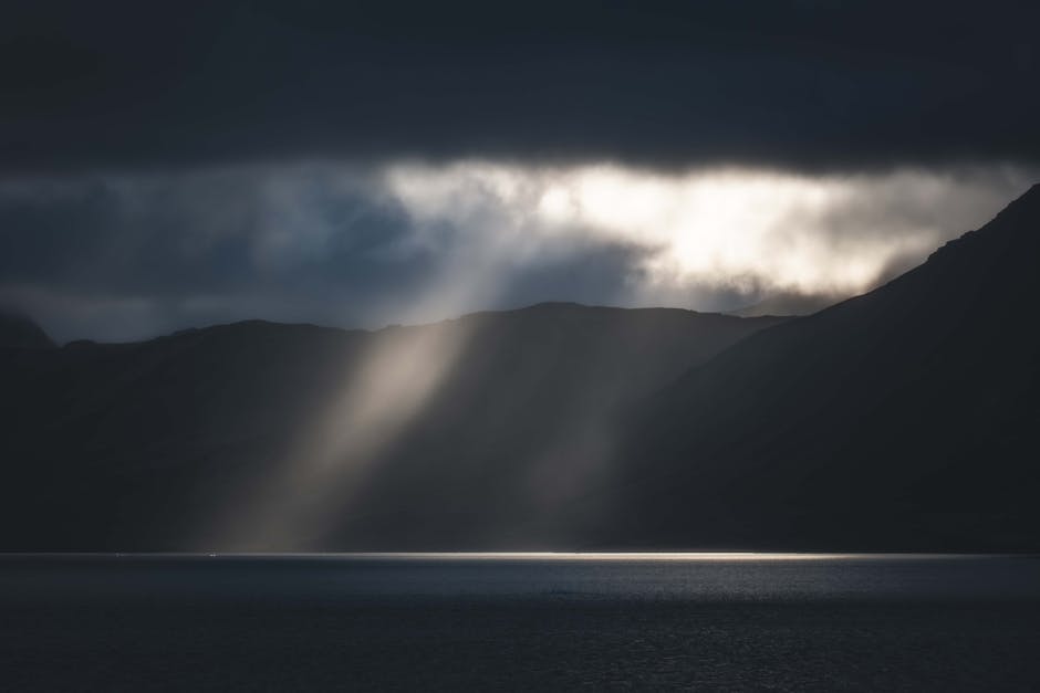 Svalbard Polar Bears Thrive on Land Diet While 30 Beluga Whales Face US Relocation — Today’s Environmental Briefing for Fri, Jan 30 2026