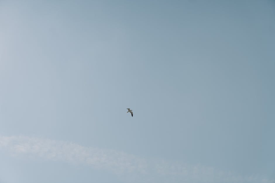 Idaho Bird Research Station Rebuilds After Wildfire, New Jersey Strengthens Wetland Protections While Federal Rules Weaken — Today’s Environmental Briefing for Thu, Jan 1 2026