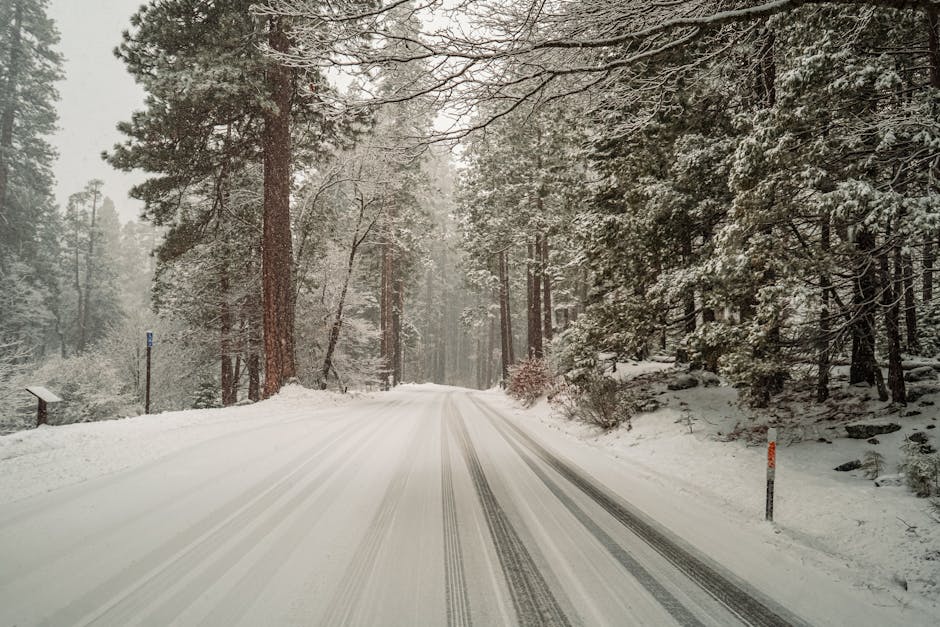 California’s Wet Winter Triggers Deadly Mushroom Crisis, UK Labour MPs Warn Data Centres Threaten Net Zero Goals — Today’s Environmental Briefing for Fri, Feb 13 2026