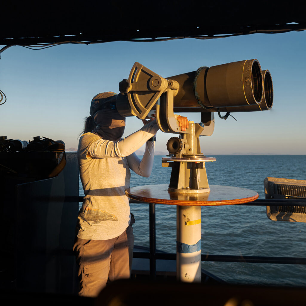 Marine researchers spot up to 10 critically endangered vaquita porpoises in mexican waters, offering fragile hope for species on brink of extinction