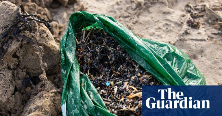 Millions of plastic biobeads wash ashore on sussex coast in “catastrophic” water treatment spill