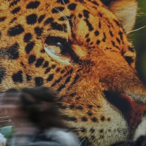 Young environmental journalists share hope and uncertainty in “letters to the future” series