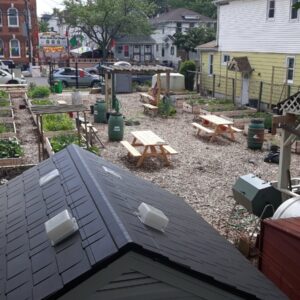 Urban farming revolution: how cities are growing their way to climate solutions