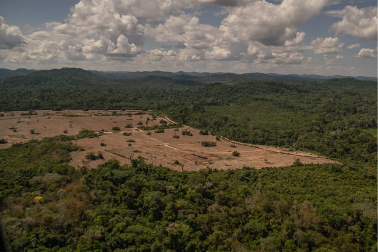 Amazon conservation stalled by political priorities as environmental issues take backseat to electoral concerns