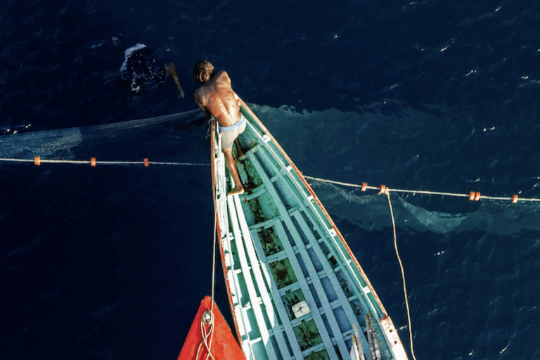 Brazil and portugal push for ocean-based foods as key climate solution ahead of cop30