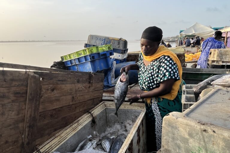 Major international coalition launches $68 million initiative to save west africa’s collapsing fisheries