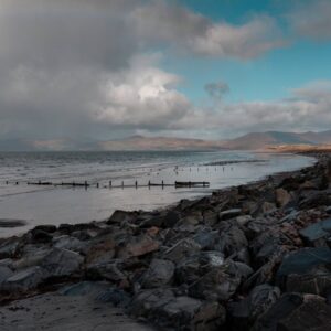 Europe’s climate leadership at risk as right-wing politics undermine green policies