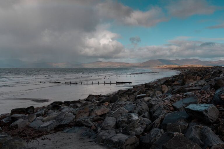 Europe’s climate leadership at risk as right-wing politics undermine green policies