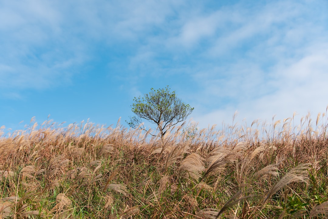 Daily Environmental News Roundup by the EnviroLink Team – November 7, 2025