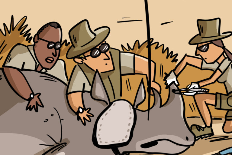 South african scientists use radioactive isotopes to combat rhino poaching in groundbreaking conservation effort