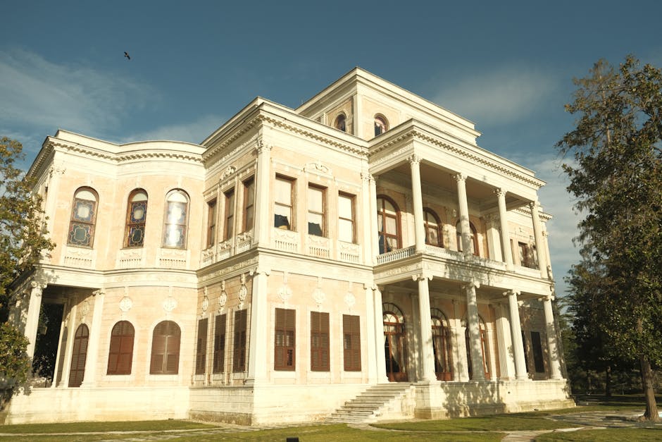 North Carolina Christmas Tree Farms Rebuild After Hurricane Helene, UK Electric Vehicle Charging Hits Three-Year Low — Today’s Environmental Briefing for Thu, Dec 25 2025