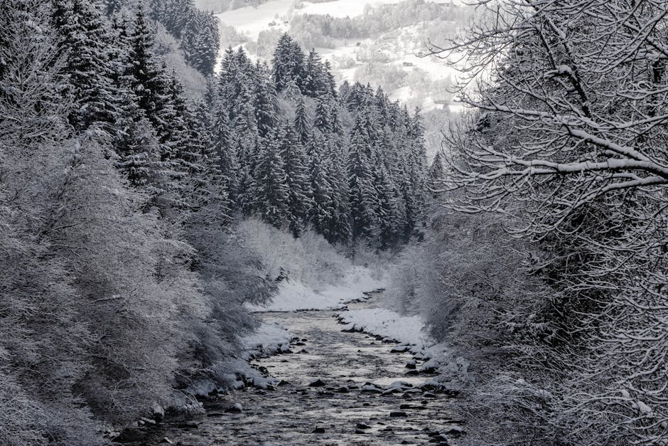 Forest Service Streamlines Drilling Rules While Winter Olympics Face Snow Crisis, Park Service Braces for Trump Cuts — Today’s Environmental Briefing for Wed, Jan 28 2026